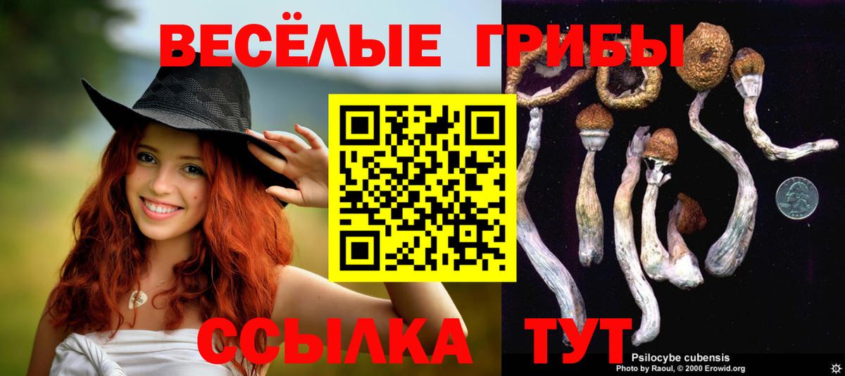 Галлюциногенные грибы Psilocybe  Вход с VPN  Амурск 